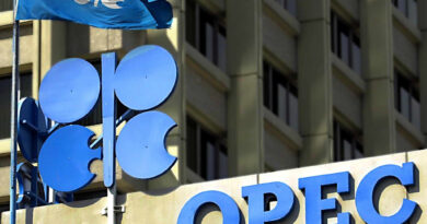 OPEP y Rusia deciden si siguen con leve aumento del bombeo pese a alto precio