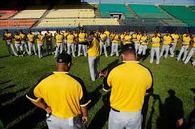 Leones del Caracas saltan al terreno el 5 de octubre