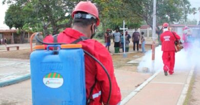 Advierten sobre reaparición de enfermedades por falta de fumigación