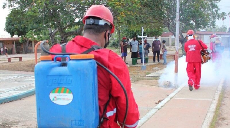 Advierten sobre reaparición de enfermedades por falta de fumigación