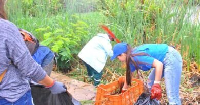 Gobernación del Zulia y Alcaldía de Lagunillas realizaron jornada de limpieza en las orillas del lago