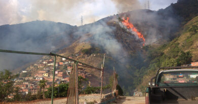 Altas temperaturas elevan riesgo de incendios forestales en el país