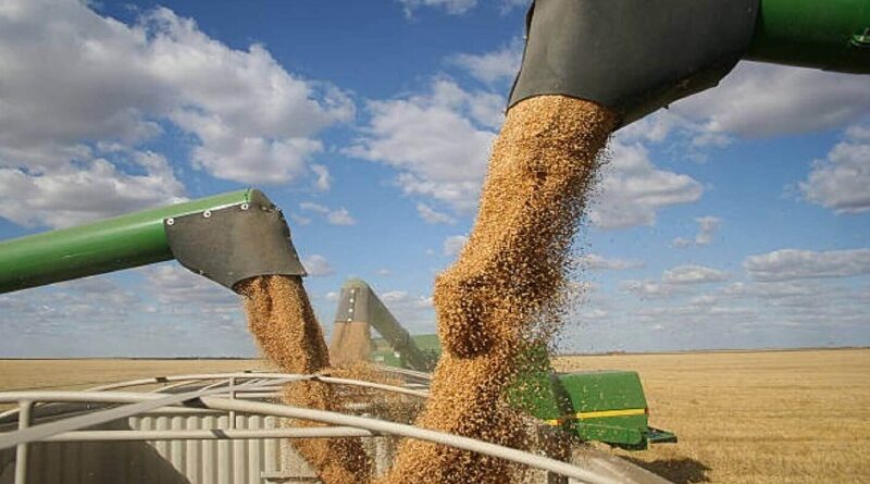 Cerró el molino de trigo de mayor capacidad en el país