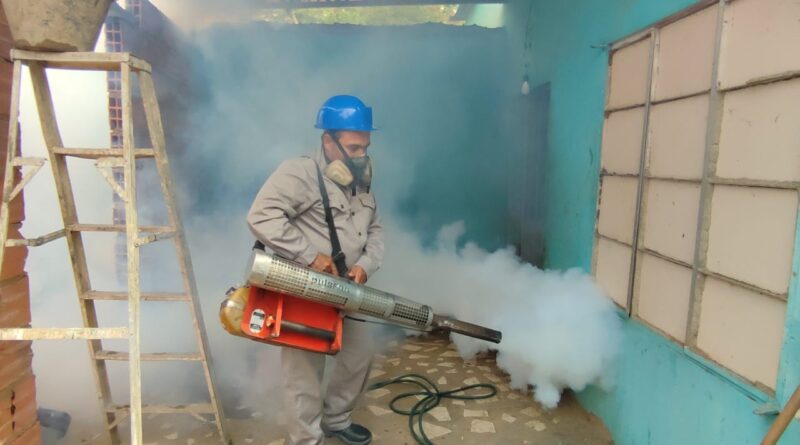 OMS pidió a los gobiernos estar alertas y preparados por expansión del dengue