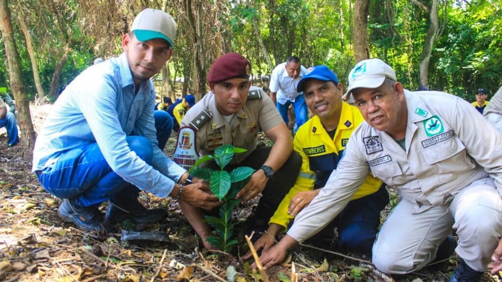 Siembran 750 árboles en el Parque Recreacional Burro Negro del estado Zulia