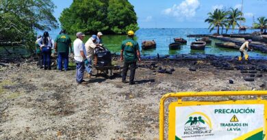 En Valmore Rodríguez recogieron 10 toneladas de desechos en el Plan de Saneamiento del Lago