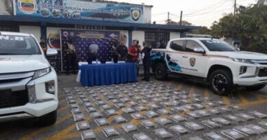 Incautan 132 kilos de droga en dos procedimientos en el estado Apure