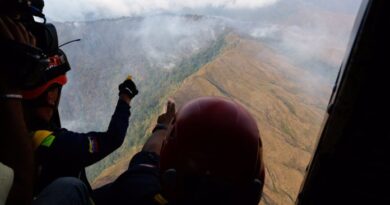 Existe un plan para generar incendios que mantengan en zozobra a los venezolanos