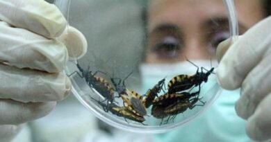 Estados como Portuguesa, Lara, Zulia y Falcón presentan casos de mal de chagas