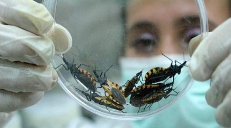 Estados como Portuguesa, Lara, Zulia y Falcón presentan casos de mal de chagas