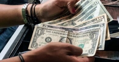 Ecoanalítica calcula colocación inicial de $150 millones este #20Ene en mercado cambiario