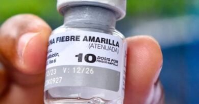 Organizaciones urgen medidas ante el «inicio de epidemia» de fiebre amarilla en Venezuela