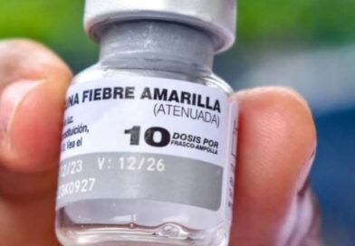 Organizaciones urgen medidas ante el «inicio de epidemia» de fiebre amarilla en Venezuela
