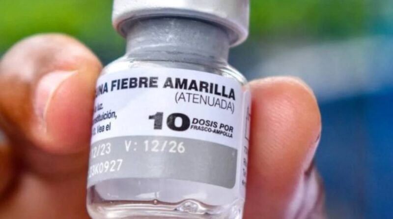 Organizaciones urgen medidas ante el «inicio de epidemia» de fiebre amarilla en Venezuela