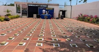 Incautan 137 kilos de marihuana y detienen a dos personas en Píritu del estado Falcón