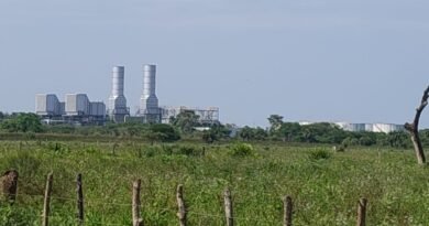 Héctor Vargas: El Occidente venezolano enfrenta crisis eléctrica estructural por paralización de plantas clave.