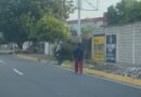 Alcaldía de Maracaibo sancionó a dos ciudadanos por cortar dos búcaros y lanzarlos en la avenida Fuerzas Armadas‎‎