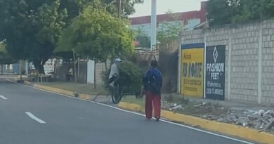 Alcaldía de Maracaibo sancionó a dos ciudadanos por cortar dos búcaros y lanzarlos en la avenida Fuerzas Armadas‎‎