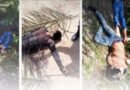 Noche de horror en Casigua El Cubo: Hombres armados ejecutaron a cinco personas y sembraron el terror en comunidades del Sur del Lago