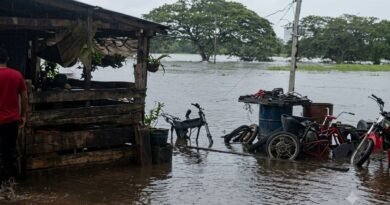 Inundaciones anegan fincas y afectan la producción agropecuaria en sectores Anaro y Maporal de Barinas