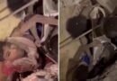 El milagroso rescate de una familia que quedó atrapada 11 días bajo los escombros en Venezuela