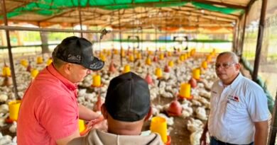 El Zulia produce 1.200.000 kilos de carne de pollo semanal: Gobierno Bolivariano protege y garantiza la producción avícola del sector privado