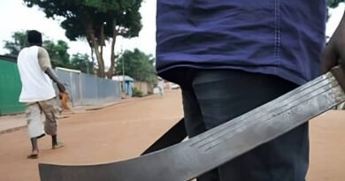 ASESINAN A DOS PRIMOS A MACHETAZOS CUANDO GUIABAN GANADO EN YARACUY