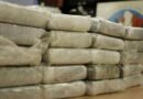 Guardia Nacional incauta 430 kg de drogas en Mérida