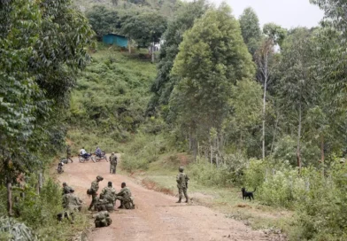 Juez ordena a Colombia abstenerse de bombardear grupos armados si hay menores reclutados