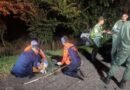 Tres muertos y siete heridos en la Autopista José Antonio Páez: el segundo en 48 horas