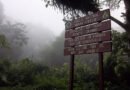 Rescatan con vida a dos jóvenes extraviados en el Parque Nacional Henri Pittier